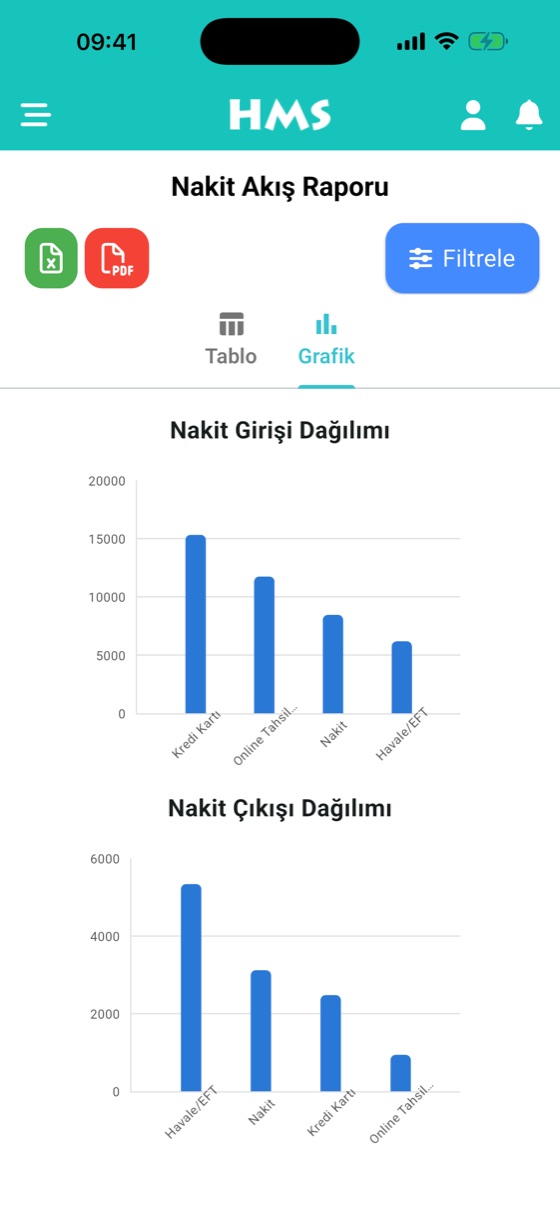HMS mobil nakit akış raporu: ödeme tipine göre nakit giriş ve çıkış grafikleri